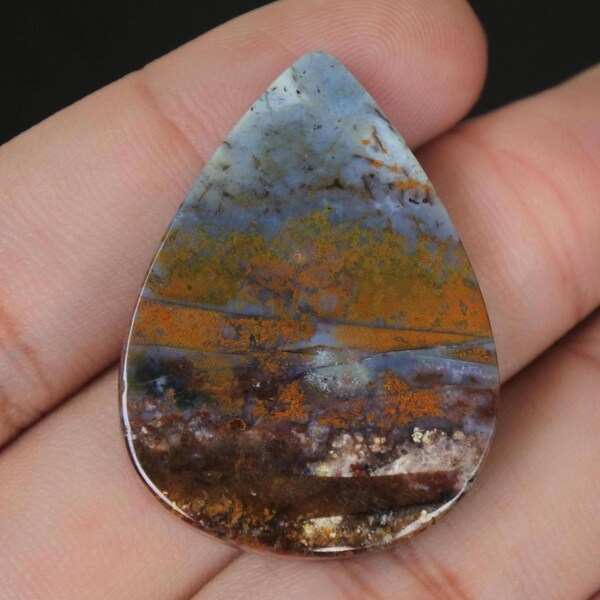 美しい多色のオパール化石木質宝石