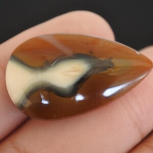 May include: A teardrop-shaped gemstone with a polished surface. The stone features a blend of colours, including shades of brown, cream, and black, with a glossy finish. The gemstone is held in a hand.