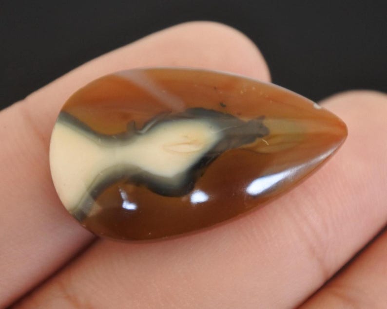 May include: A teardrop-shaped gemstone with a polished surface. The stone features a blend of colours, including shades of brown, cream, and black, with a glossy finish. The gemstone is held in a hand.