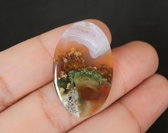 Pierre gemme d'agate mousse multicolore