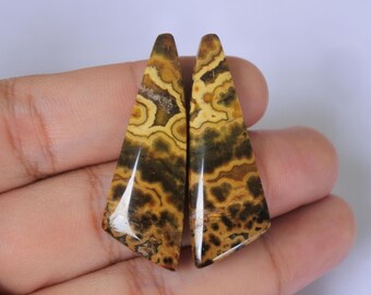May include: Two polished, triangular gemstones with a distinctive pattern of brown, tan, and black swirls. The stones are held in a hand, highlighting their natural beauty and intricate design. These stones are suitable for jewellery making.