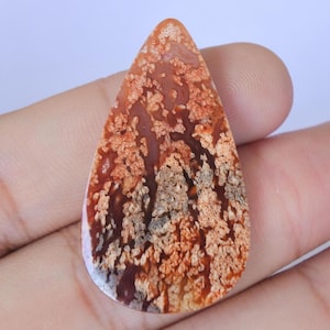 Pendentif cabochon en pierre de palmier fossilisé, forme de larme de Java