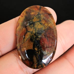 Puede incluir: Una gema ovalada con una superficie pulida. La piedra presenta una mezcla de colores, incluyendo rojos profundos, marrones y negros, con áreas doradas y amarillas. La gema se sostiene en una mano.