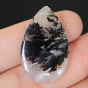 Dendritic Agate Polished Gemstone