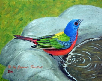 Prints of original painting Painted Bunting