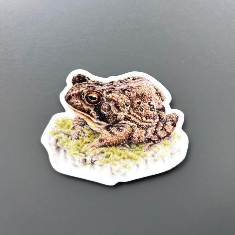 Toad Crying Sticker Resting Toad Vinyl Sticker - Etsy