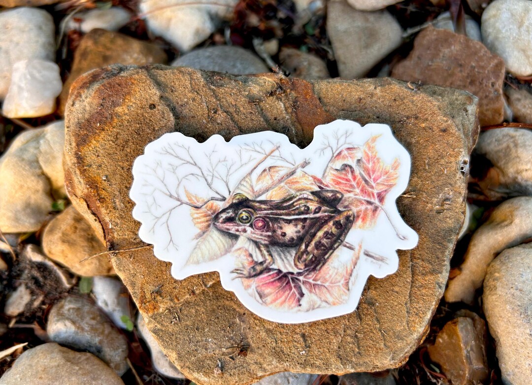 Leopard Frog Vinyl Sticker - Etsy