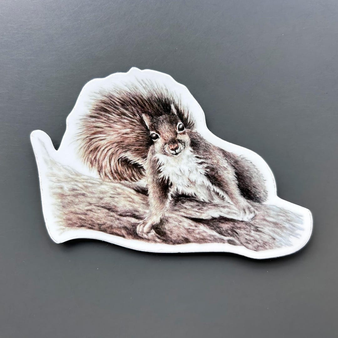 Squirrel Vinyl Sticker - Etsy