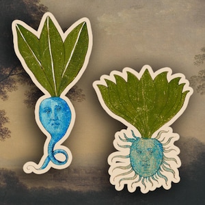 Set von 2 Seltsamen Rote Beete Aufkleber, Mittelalterlicher Marginalien Aufkleber