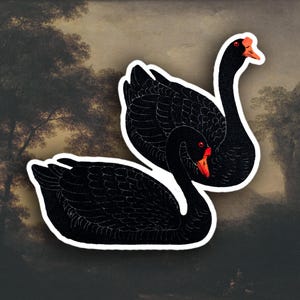 Black swans sticker, Aesthetic art sticker, Black geese couple sticker