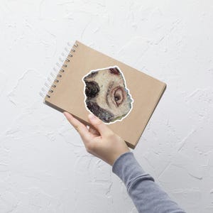 May include: A sticker with an abstract design resembling an eye, featuring shades of brown, white, and gray. The sticker is placed on a brown spiral notebook.