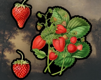 Set of 3 Vintage Strawberry stickers, Aesthetic stickers