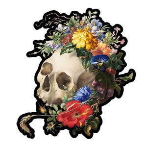 Vanitas sticker, Floral Skull sticker, Art History Sticker