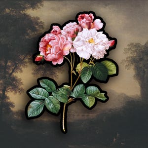 Sticker Vintage Rose, sticker botanische waterfles