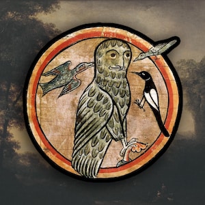 Sticker hibou médiéval étrange assailli par de plus petits oiseaux, sticker meme médiéval drôle