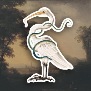 Adesivo de garça vintage, adesivo de garrafa de água naturalista