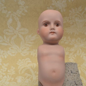 Vintage Porcelain torso,head and body no arms or legs, made in Germany, assemblage doll art,bisque doll heads,porcelain doll parts,oddities