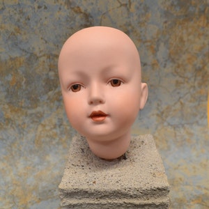 May include: A porcelain doll head with painted brown eyes, a pink complexion, and a closed mouth with a hint of a smile. The head is mounted on a rough, grey concrete block.