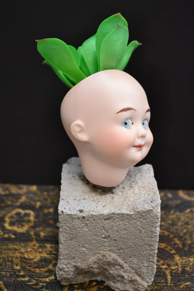 Vintage Porcelain Doll Head Vase for Dry Flowers, Air Plants or Fake