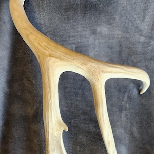Single Antler