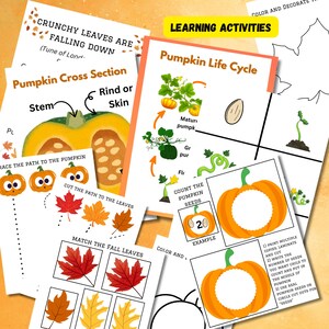 Paquete de otoño para el aula con juego dramático de calabazas, juego de simulación otoñal, tablón de anuncios, decoración otoñal y actividades para la educación en casa y preescolar. imagen 7