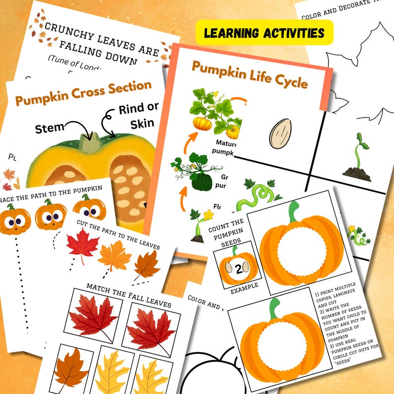 Paquete de otoño para el aula con juego dramático de calabazas, juego de simulación otoñal, tablón de anuncios, decoración otoñal y actividades para la educación en casa y preescolar. imagen 7