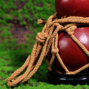 Puede incluir: Dos calabazas rojas est&aacute;n atadas juntas con una gruesa cuerda marr&oacute;n. Las calabazas est&aacute;n sobre una superficie de musgo verde.