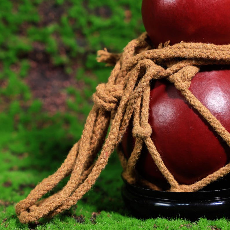 Puede incluir: Dos calabazas rojas est&aacute;n atadas juntas con una gruesa cuerda marr&oacute;n. Las calabazas est&aacute;n sobre una superficie de musgo verde.