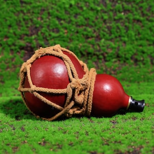 Puede incluir: Una calabaza roja con una red de cuerda marr&oacute;n envuelta alrededor. La calabaza tiene un peque&ntilde;o pico y est&aacute; acostada sobre un lecho de musgo verde.