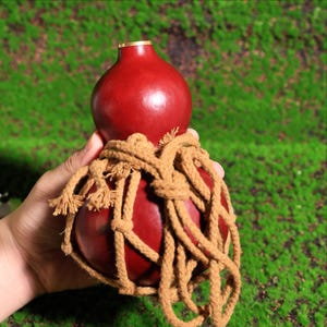 Puede incluir: Una calabaza roja con un borde dorado, envuelta en una cuerda marr&oacute;n, se sostiene en una mano sobre un fondo verde.