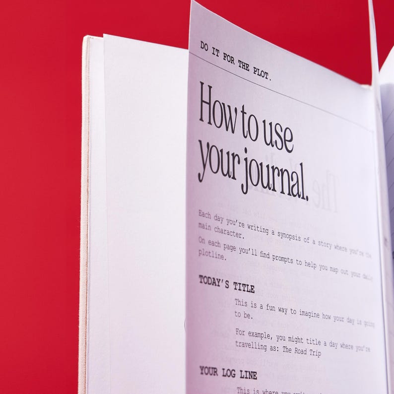 以下が含まれることがあります： 表紙に「DO IT FOR THE PLOT.」と「How to use your journal.」と書かれた白いジャーナル。このジャーナルには、毎日ストーリーの要約を書く方法に関する指示が記載されています。