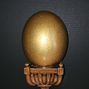 Ostrich Egg-18th Century Artifact