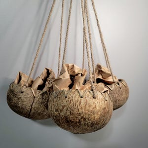 May include: Three hanging coconut shell planters filled with brown paper. The planters are suspended by woven rope. The shells have a textured, natural appearance, and are attached to the rope with a stitched design.