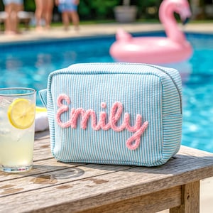 May include: A rectangular light blue and white pinstriped zippered pouch featuring the name Emily in raised, textured pink script lettering on the front. The pouch is constructed with a structured fabric and a top zipper closure.