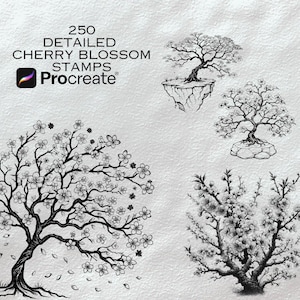 250 種類の桜の Procreate ブラシ | デジタル アート用の桜の花のスタンプ | 日本の花の Procreate ブラシ セット | 桜のクリップアートとスタンプ