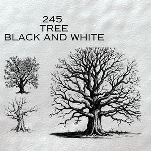 245 Procreate Baum Stempel | Realistische Baum Pinsel für Procreate | Procreate Baum Silhouette Stempel | Stempelpinsel