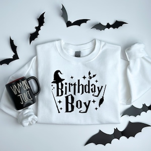 Birthday Boy Wizard Sweatshirt, Wizard Lover Sweatshirt, Birthday Gift, HP Fan Gift,  Universal Magical Family Trip, Magical Birthday Shirt