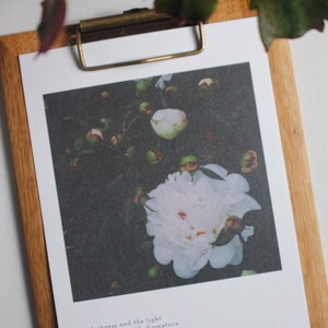 Haiku Print - Darkness and the Light, 8x10 Fine Art Print by Natalie Salminen
