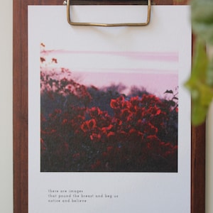 Haiku Print - There Are Images - 8x10 Fine Art Print by Natalie Salminen