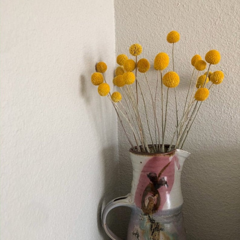 May include: A bouquet of dried yellow billy balls in a ceramic pitcher with a pink and brown glaze. The pitcher has a wide mouth and a handle.