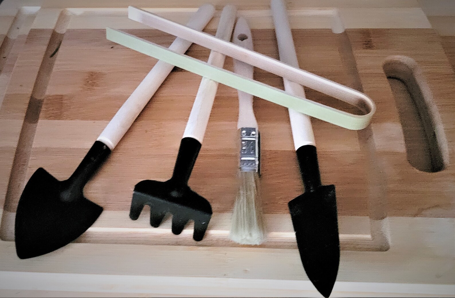 Terrarium Tool kit 5 piece starter set includes Etsy