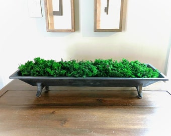 Preserved Sheet Moss – Dyed Craft Moss, Floral Supplies