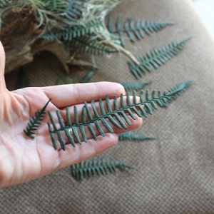 Preserved Ferns-REAL Preserved ferns-20+ Green ferns in assorted sizes-invitations-Dried Floral-Boutonnieres