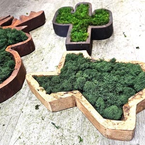 May include: Wooden planters in the shapes of a deer head, a cactus, and the state of Texas, filled with vibrant green moss. The planters have a natural wood finish, creating a rustic aesthetic. The moss adds a touch of nature.