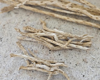 Bleached Driftwood Pieces | Natural Desert Wood Sticks | Air Plant Display Wood | Craft Driftwood Bundle | Small, Medium & Large Sizes