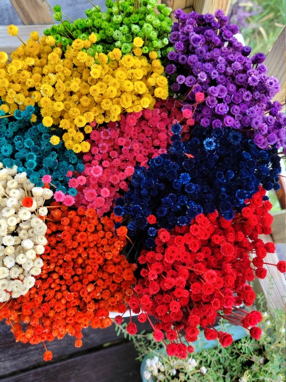 Material Dried Flowers Bouquets Kawaii Happy Flower Plant Stems Real Flower