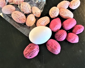 Amra pods | 25 Pods dyed rose pink or watermelon pink-Round pods-Dried botanicals