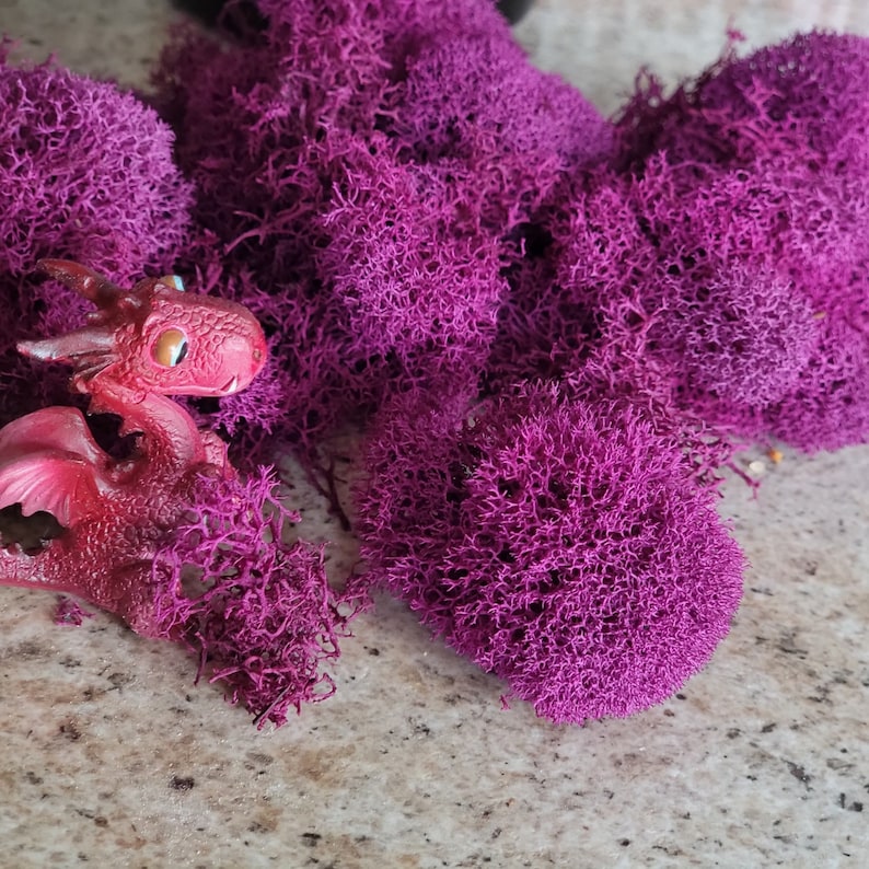 Reindeer moss-Preserved lichens-2 oz bag in your color choice-Deer foot Moss-Black-Mango-Soft reindeer moss