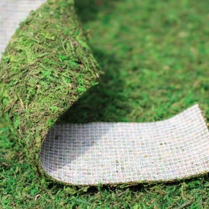 Moss Ribbon-Moss Roll 2.5” x 36” per roll -Preserved moss no water needed.