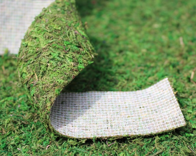 Moss Ribbonmoss Roll 2.5 X 36 per Roll preserved Moss No Etsy
